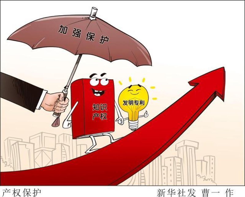 知识产权维权